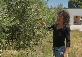 Marta Ortega comprueba las flores de los olivos más cercanos a las instalaciones de la almazara, en el paraje yeclano de Los Pinillos, esta semana.