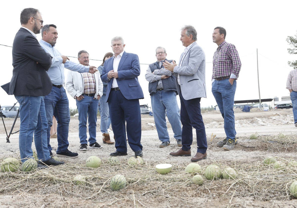 Vélez (c) y Mateos (i) en una de las fincas afectadas por la granizada junto a los presidentes de la cooperativa Alimer y Coag y agricultores.