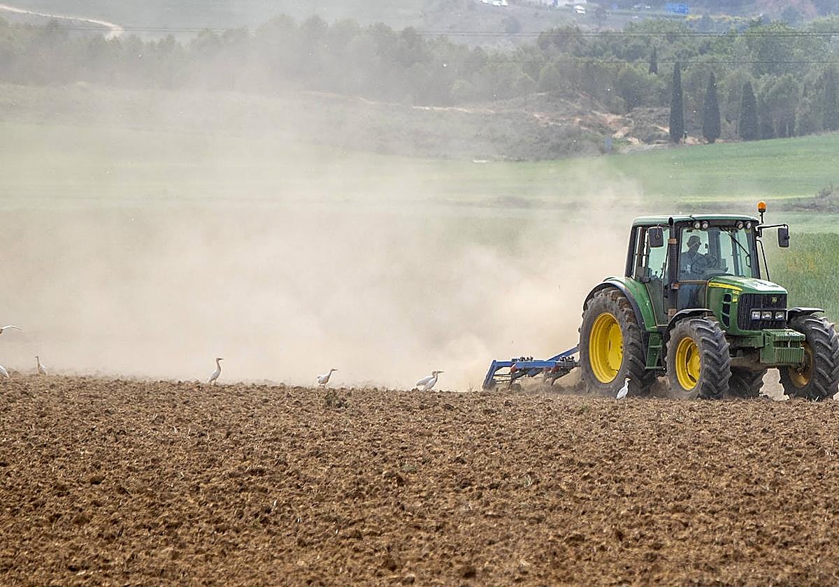 Los perfiles profesionales con mejores perspectivas en el mercado de trabajo.