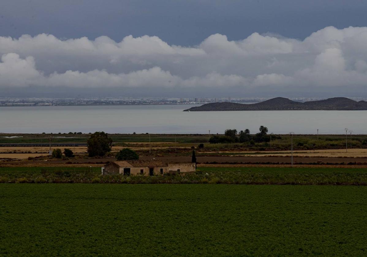 Un cultivo de la zona del Mar Menor, este martes.