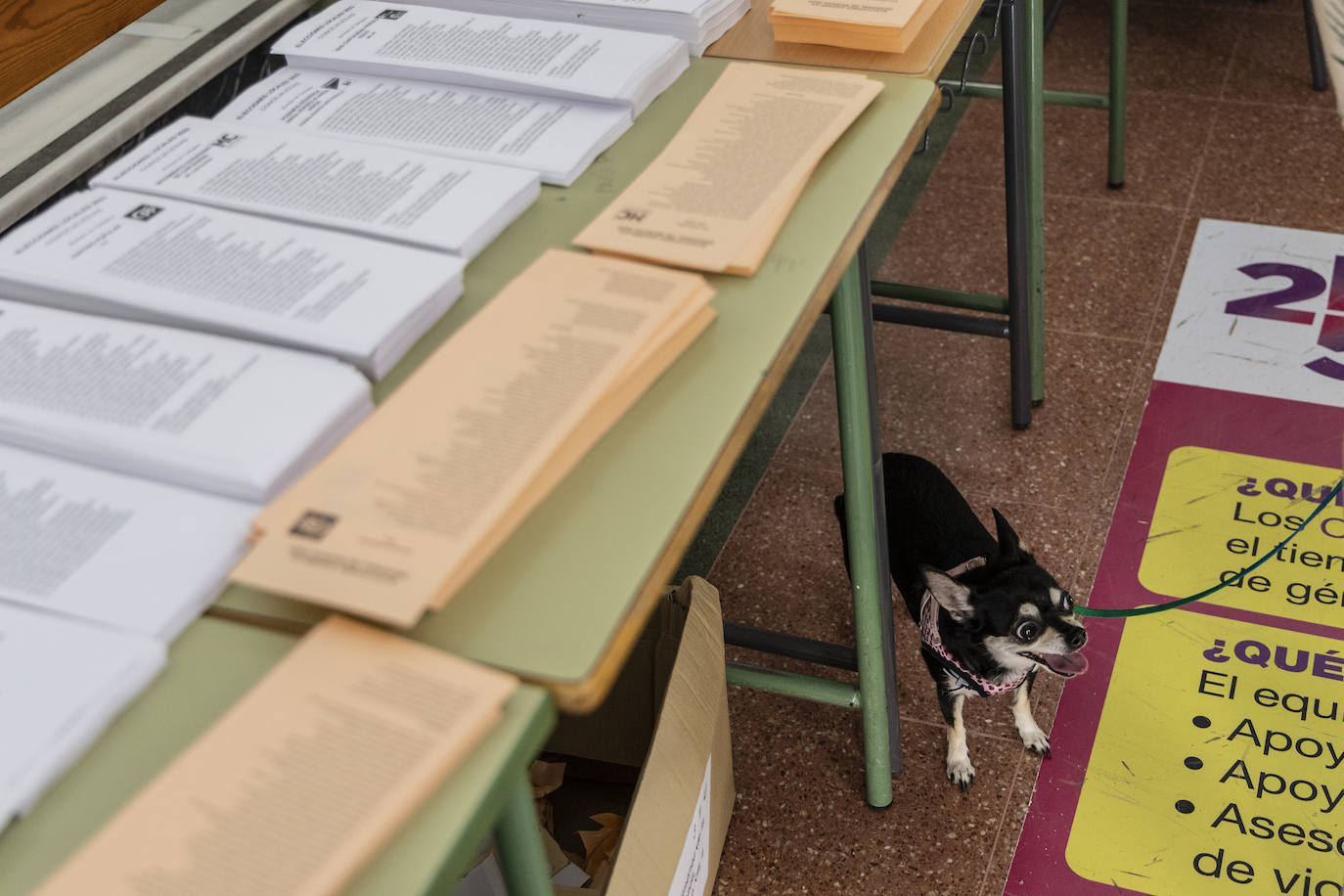 La jornada electoral, en imágenes