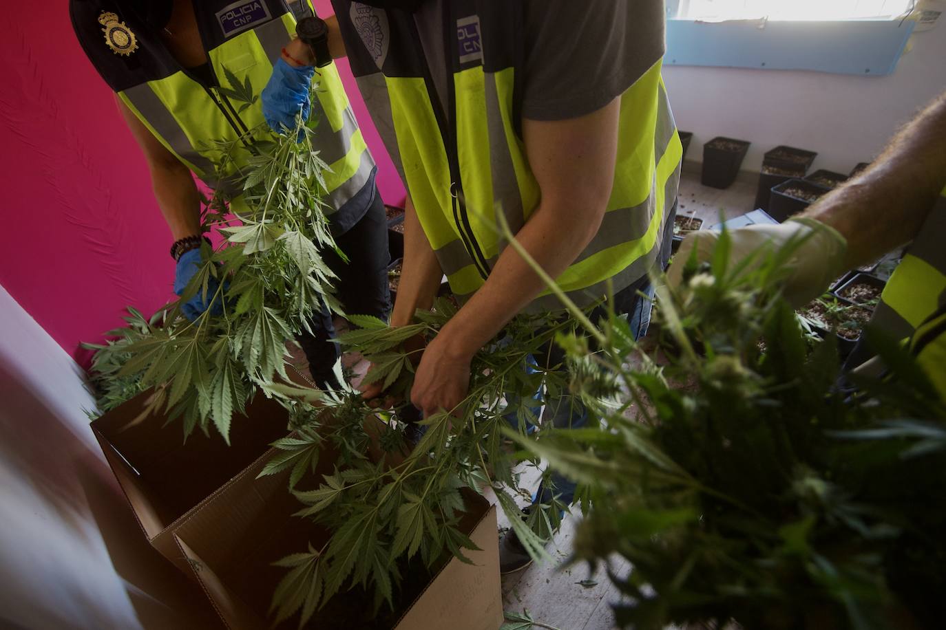 Operativo antidroga en Espinardo, en imágenes