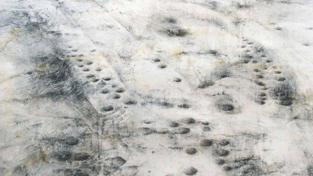 &#039;Desbordamientos&#039;