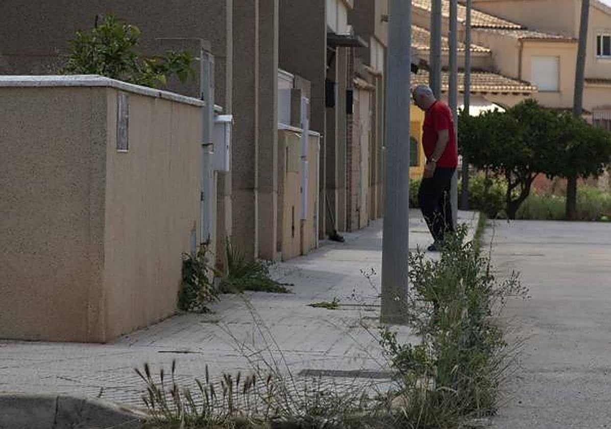 Calle Tucumán de Pozo Estrecho llena de matorrales y al fondo, un solar sin adecentar.