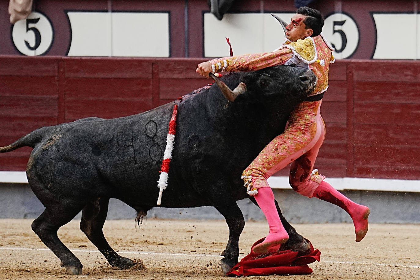 La corrida de Paco Ureña en la Feria de San Isidro en Las Ventas, en imágenes