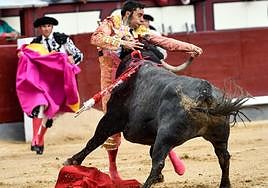 Cogida de Paco Ureña en la Corrida de la Prensa de la Feria de San Isidro de Madrid.