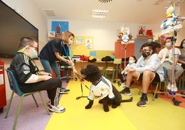 Manuel (izquierda), José Luis y Paula atienden a Clara Navas, profesora del Aula Hospitalaria, en presencia de Guau, a quien Manuel le ha colocado una camiseta del Real Madrid.