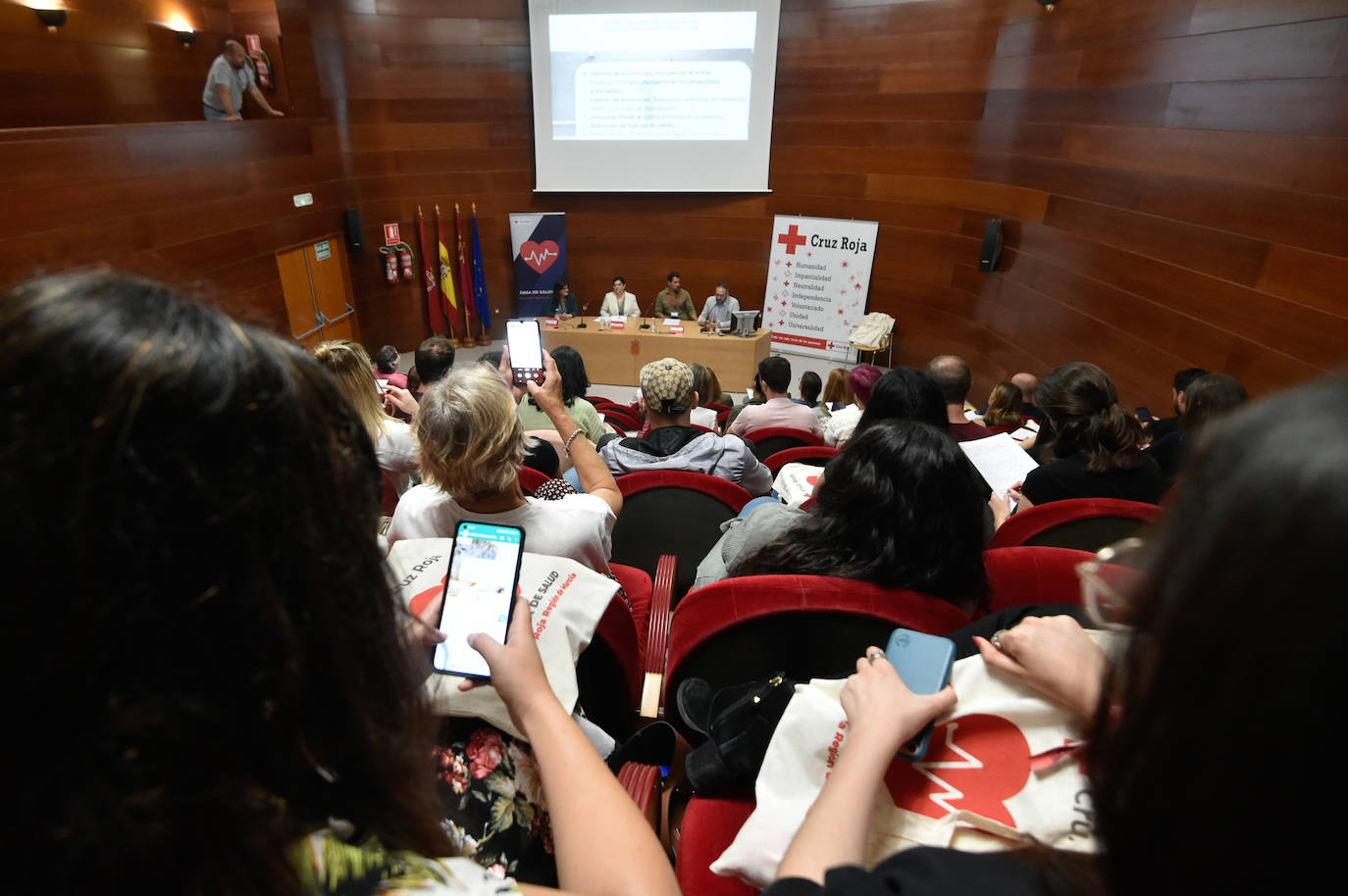 I Jornadas de Salud Mental en Jóvenes de la Región