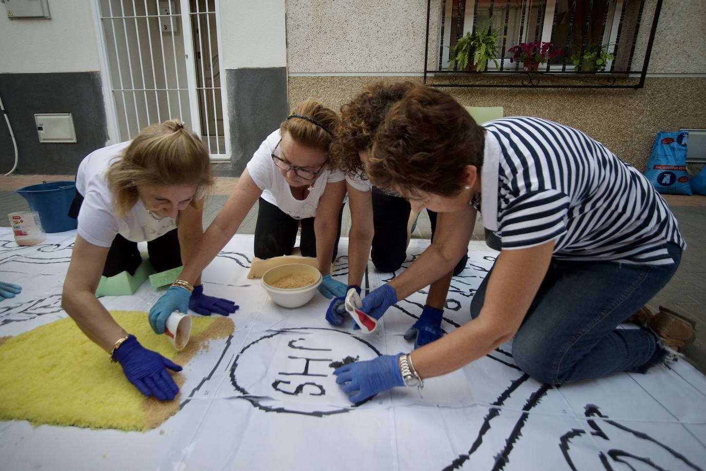 Las alfombras de sal de Alquerías, en imágenes