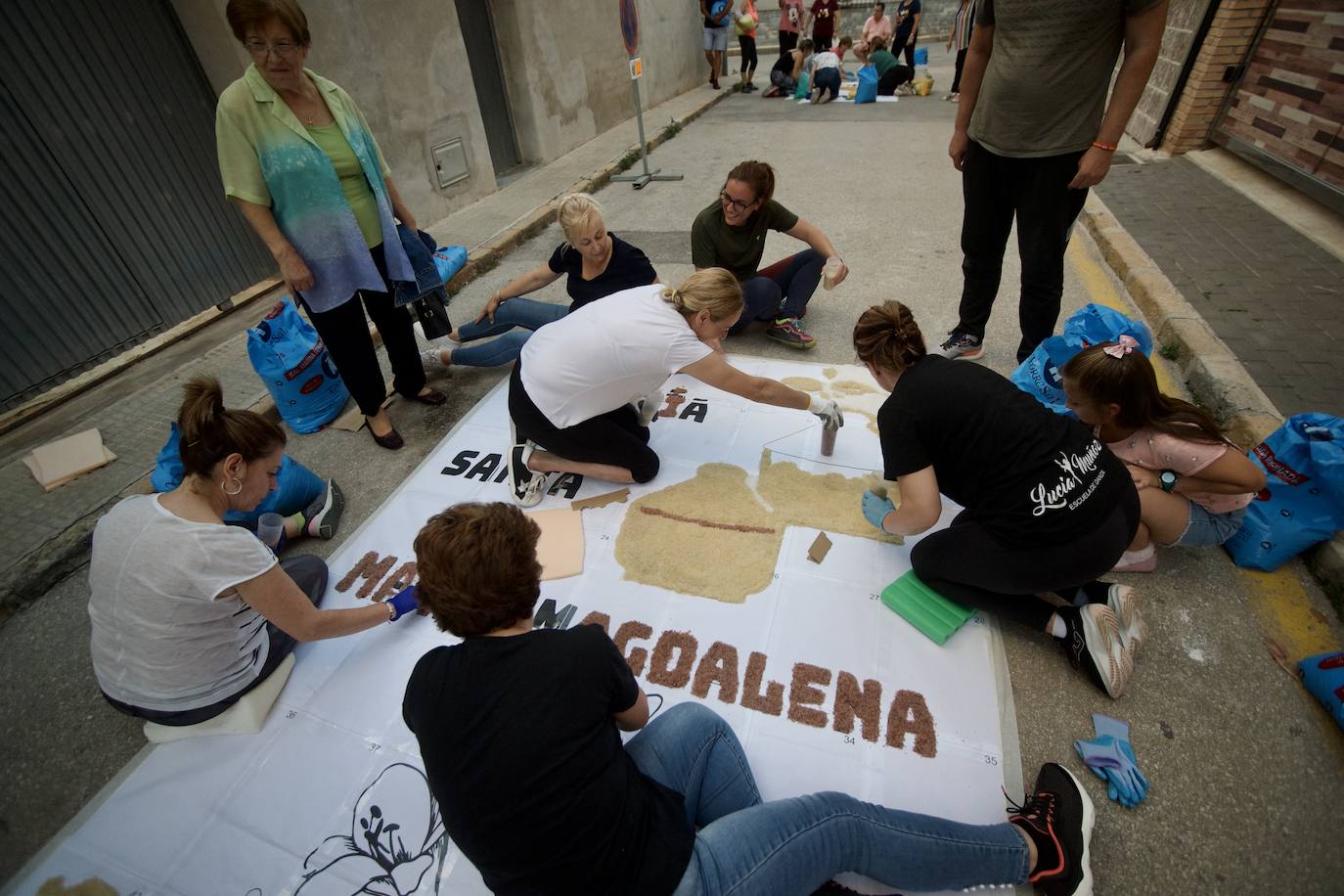 Las alfombras de sal de Alquerías, en imágenes