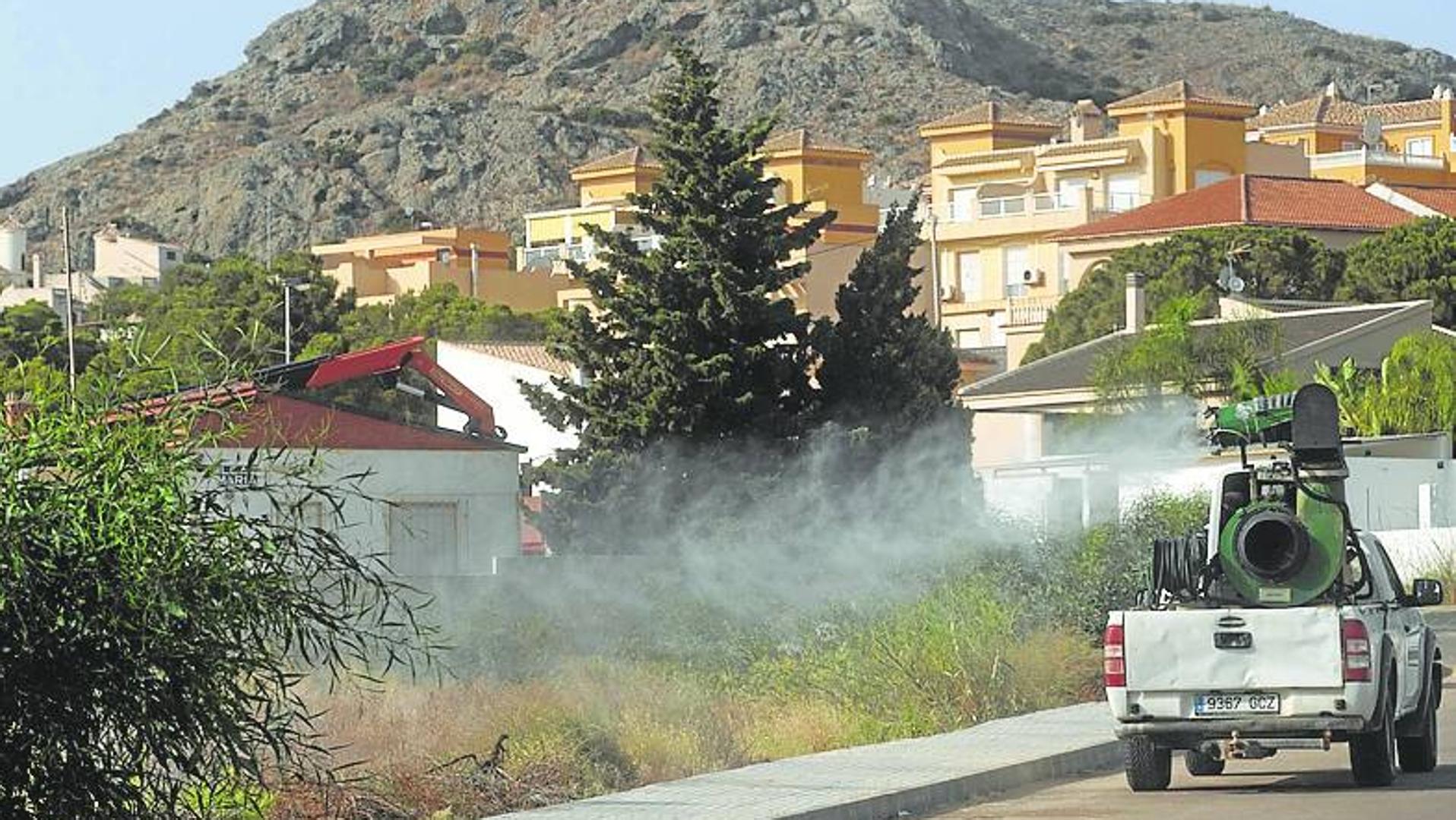 Nuevas fumigaciones en Cartagena por la proliferación de mosquitos tras la lluvia