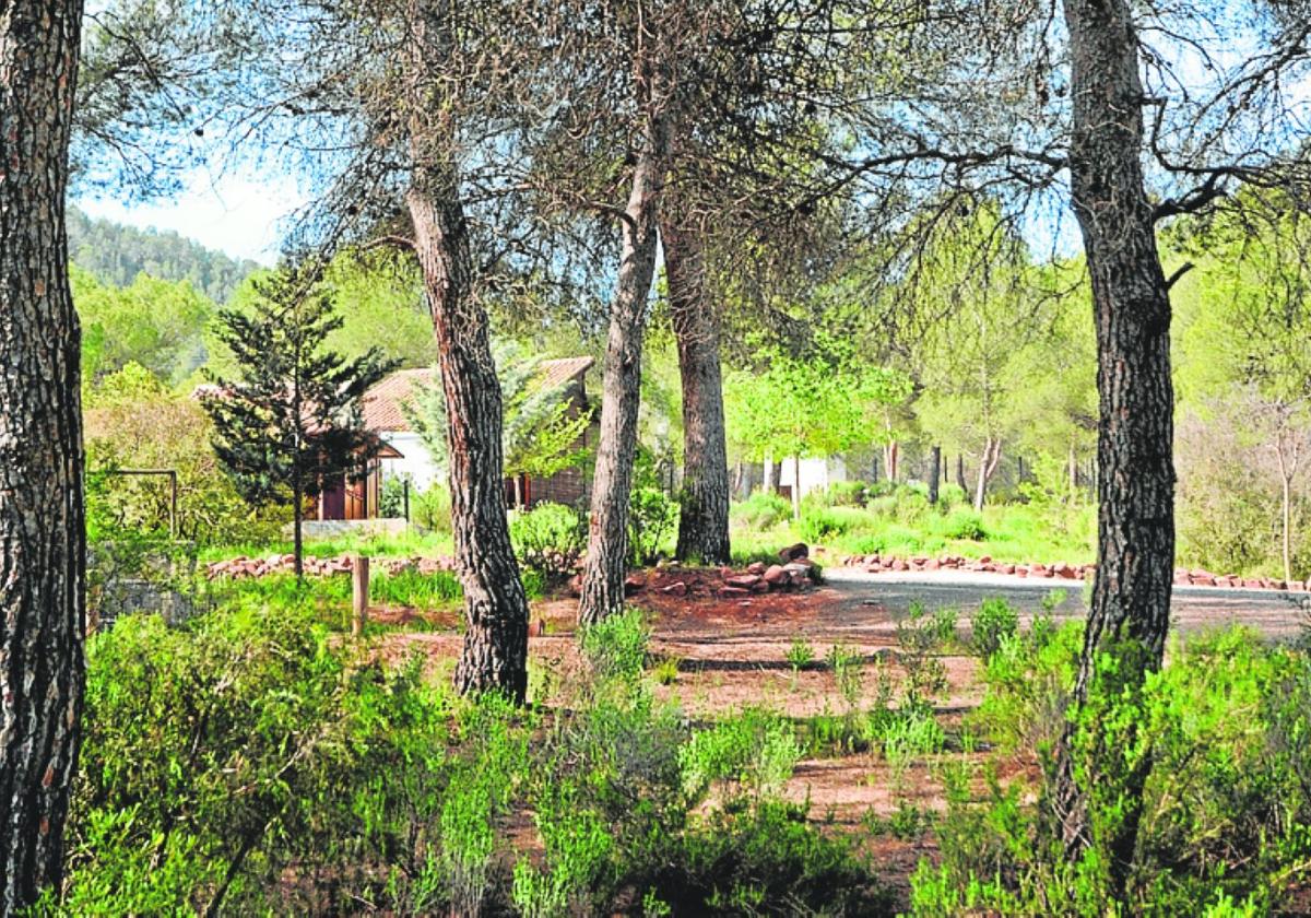 El Parque del Coto de las Maravillas, en Cehegín.