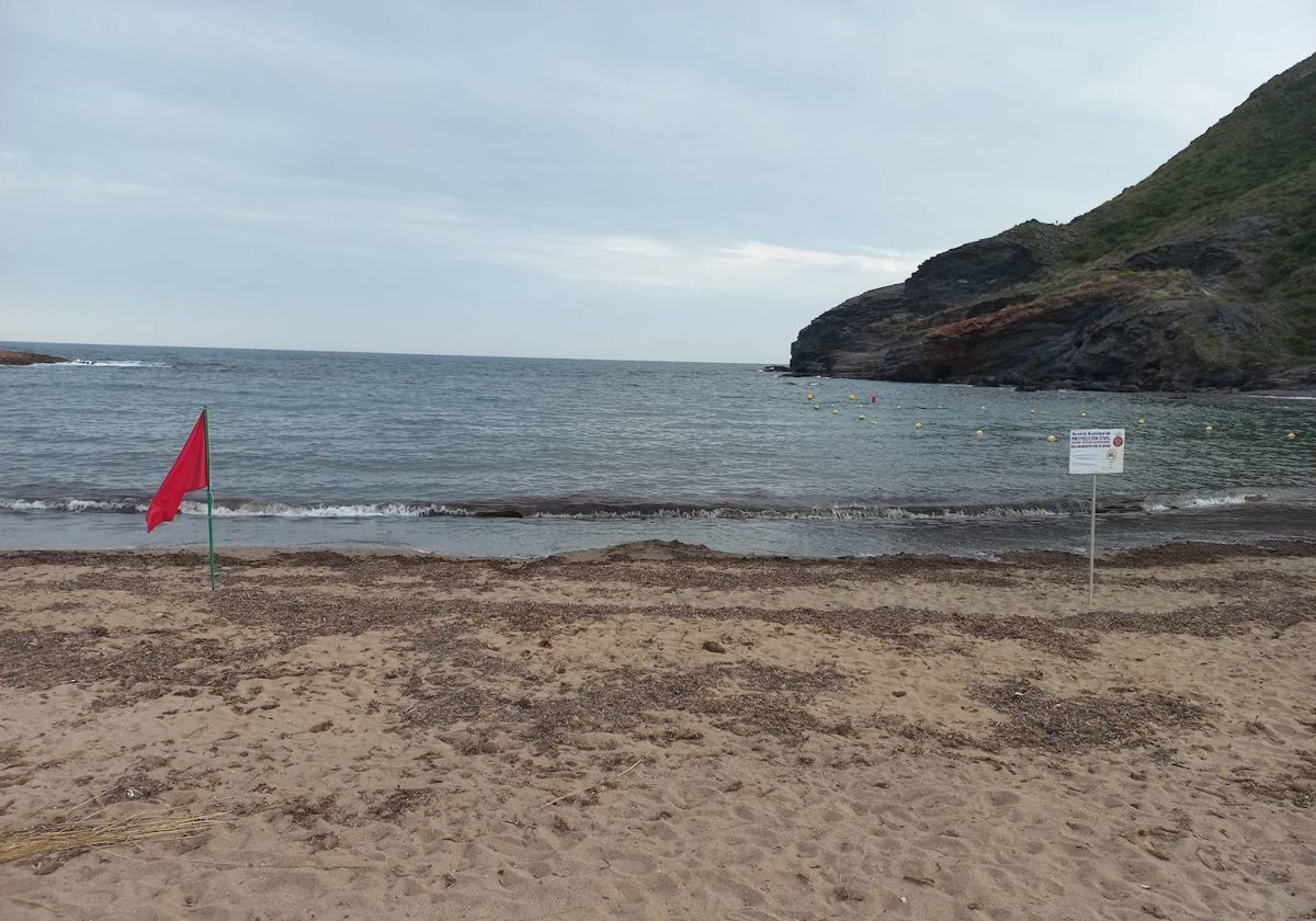 Una bandera roja y un cartel de Protección Civil, este martes en la playa de Cala Reona.