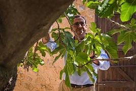 El nuevo director ha sido uno de los impulsores del proyecto de conservación y reproducción de la higuera de Miguel Hernández.