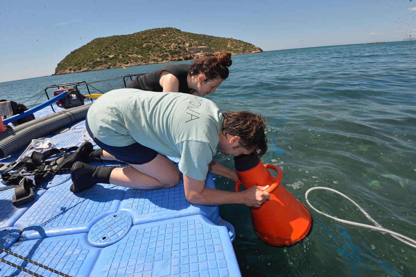 Los arqueólogos examinan ya el barco fenicio de Mazarrón