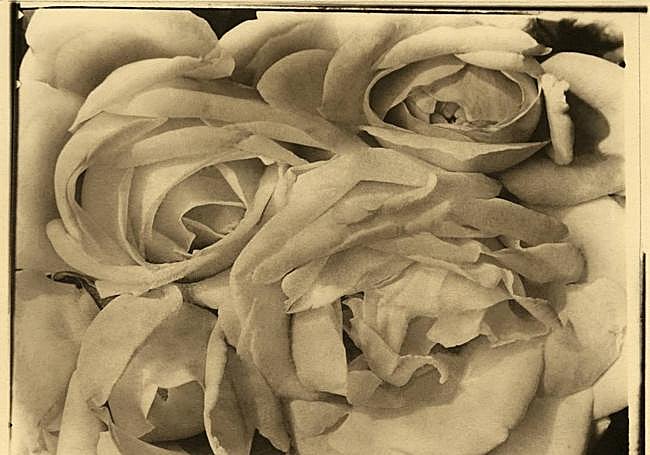 'Rosas'. Imagen de 1924; paladiotipo, impresión de época o 'vintage'. Colección y Archivo de Fundación Televisa. México. 3