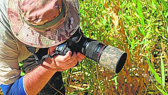 Su parabrisas no miente, nos quedamos sin insectos