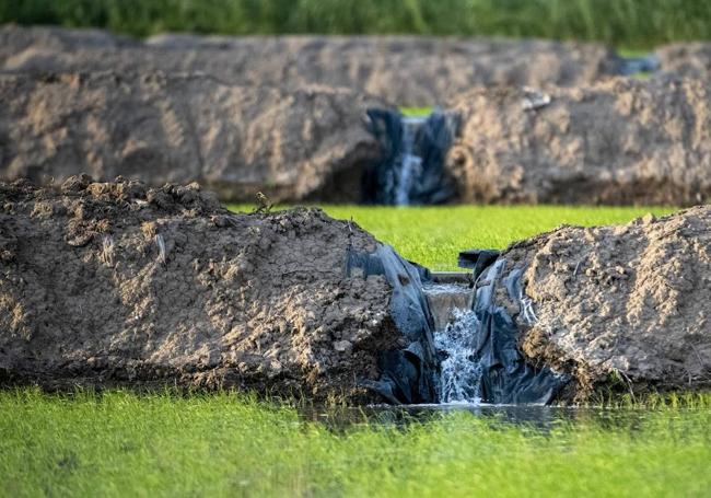 El agua del río circula entre los diferentes bancales, que conforman un ecosistema productivo único.