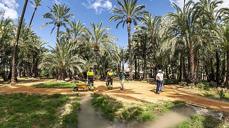 Ciudades verdes contra el envejecimiento biológico
