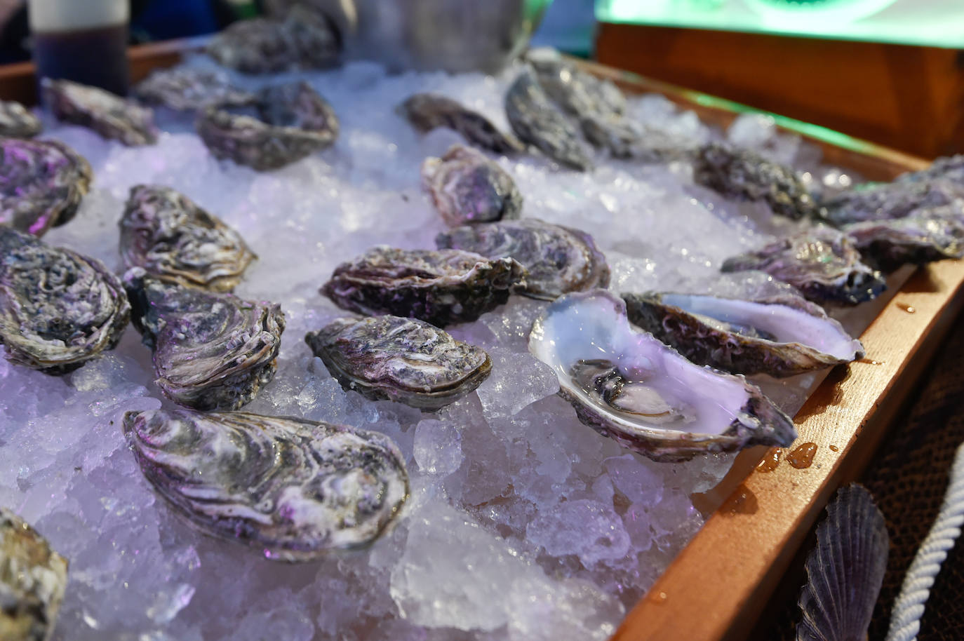 La fiesta &#039;Hello Summer&#039; 2023, en imágenes