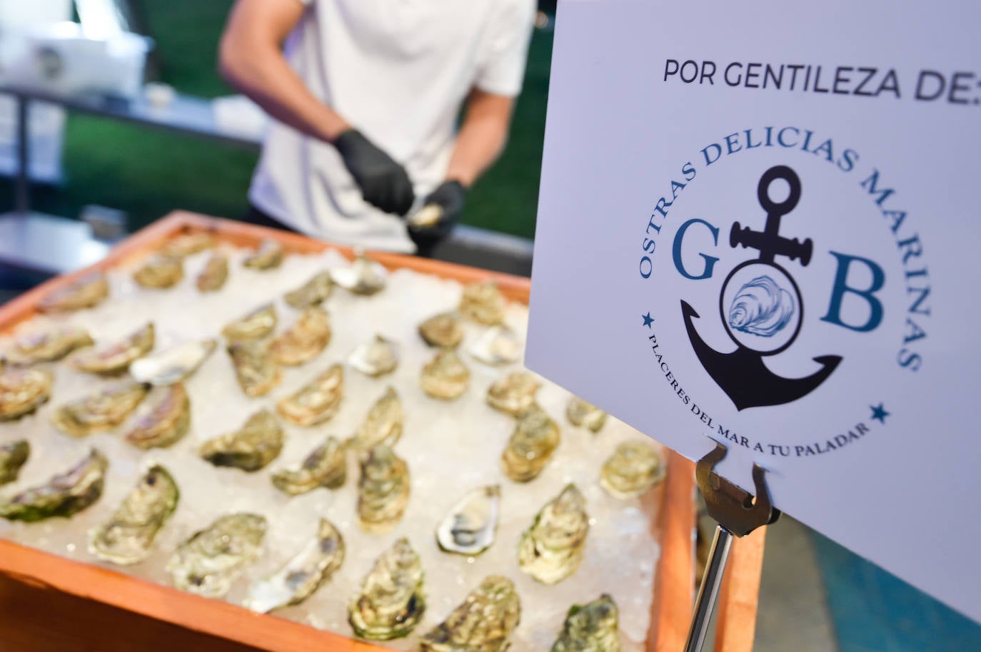 La fiesta &#039;Hello Summer&#039; 2023, en imágenes