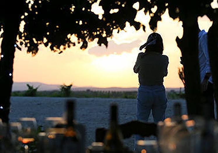 Atardecer en Bodegas Castaño.