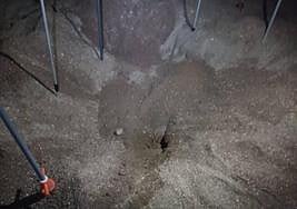 Nido excavado por la tortuga boba en la playa del Arroz.