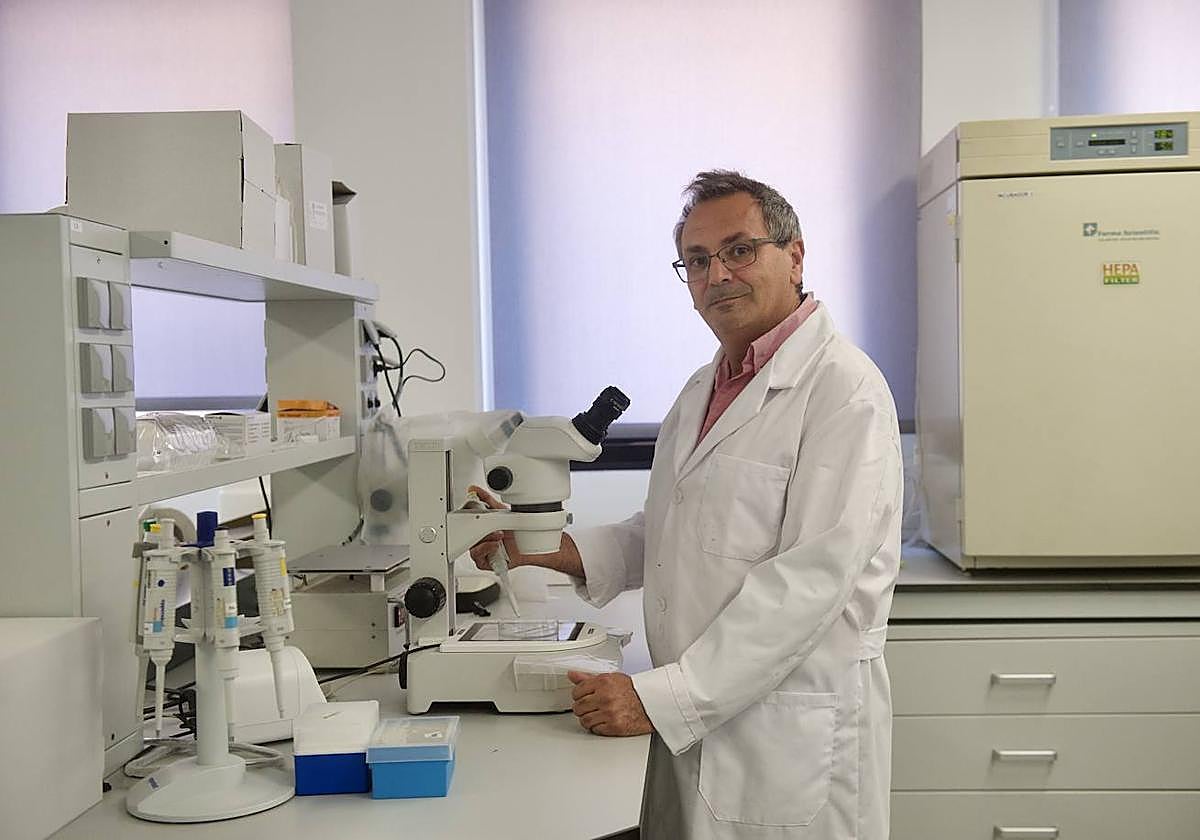 Joaquín Gadea, en un laboratorio de la Facultad de Veterinaria de la Universidad de Murcia.