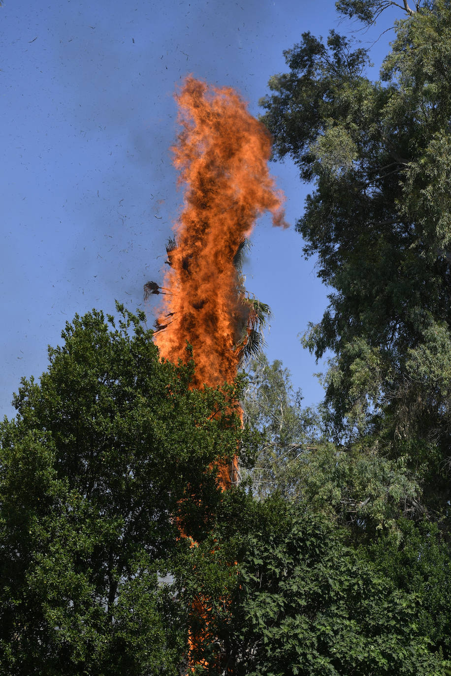 Un incendio en el poblado chabolista de La Fica alerta a los bomberos