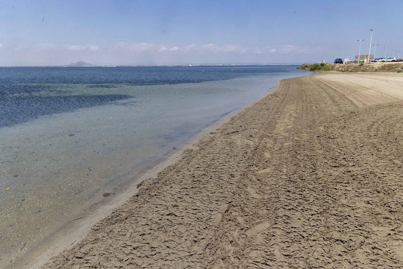 Medusas en el Mar Menor en el inicio de julio