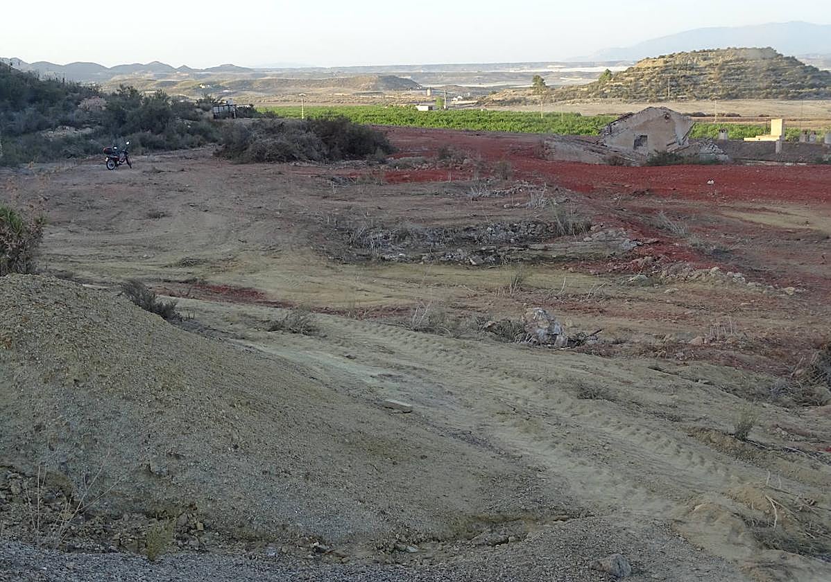 Terrenos explanados en el Coto Fortuna, a finales del verano de 2021. Al fondo, una plantación de lechugas, fuera ya del BIC.