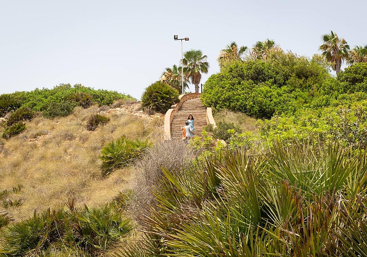 Bañistas atraviesan el sendero que cruza esta reserva de flora.