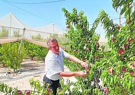 Antonio Moreno en una finca de Cieza.