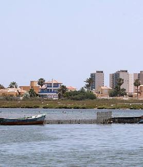 Imagen secundaria 2 - Muelle de acceso a la encañizada La Torre, solo para las embarcaciones privadas autorizadas; Julián Castejón y 'Sensi' sirven platos de caldero para los invitados; y una máquina draga el fango del fondo marino. 