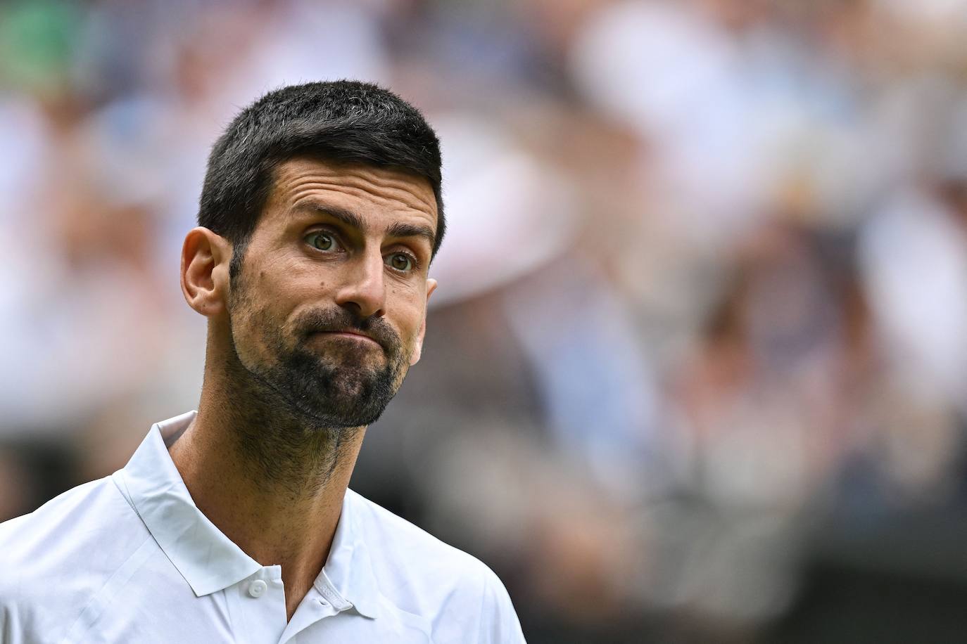 La final de Wimbledon entre Carlos Alcaraz y Novak Djokovic, en imágenes