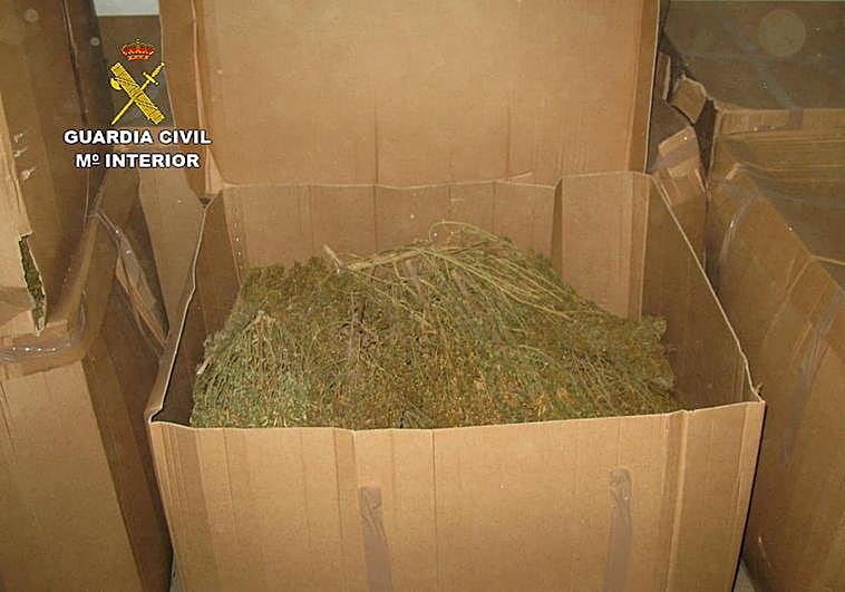 Una de las cajas donde se guardaba las plantas de marihuana secas y cortadas.