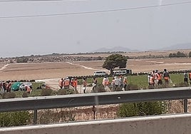 Una foto de los jornaleros en una finca de Murcia.