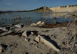 El pantano de Santomera casi vacío, en una fotografía tomada en abril.