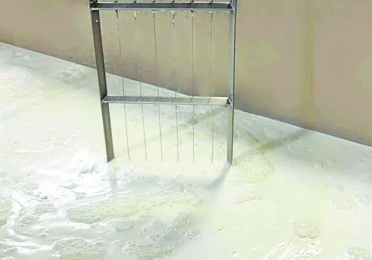 El queso se realiza de forma artesanal.