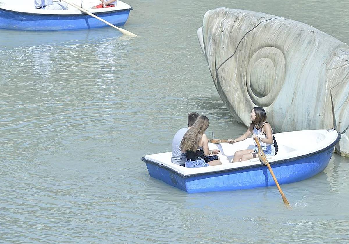 Varias personas pasean en barca por el río Segura a su paso por Murcia, en una imagen de archivo.