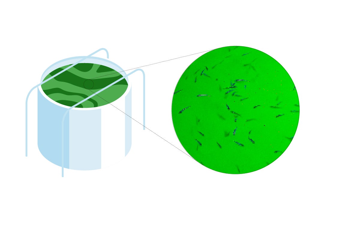 Scroll Story imagen 3