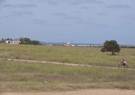 Terrenos de Los Belones donde iría la posible construcción de nuevas viviendas.