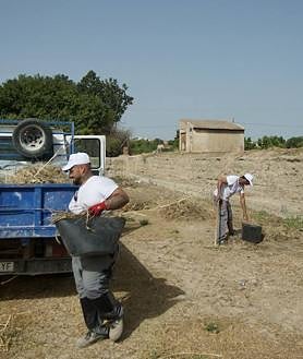 Imagen secundaria 2 - Avanzan en el Castillejo de Monteagudo los trabajos para convertirlo en un recinto visitable