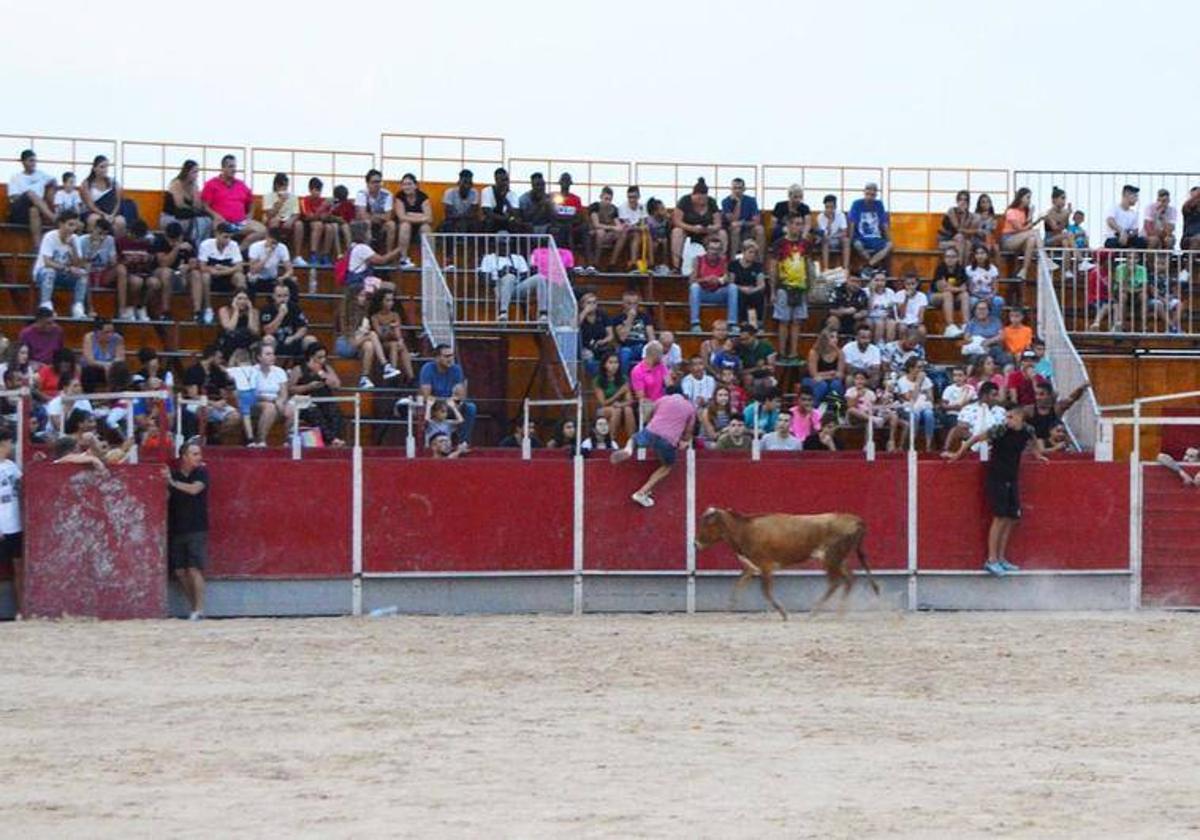 Suelta de vaquillas de las fiestas patronales de Las Torres de Cotillas, en una imagen de archivo.