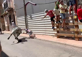 Momento en el que el toro choca con el hombre en los encierros de Blanca.