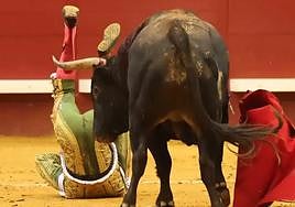 Ureña, en la cogida.