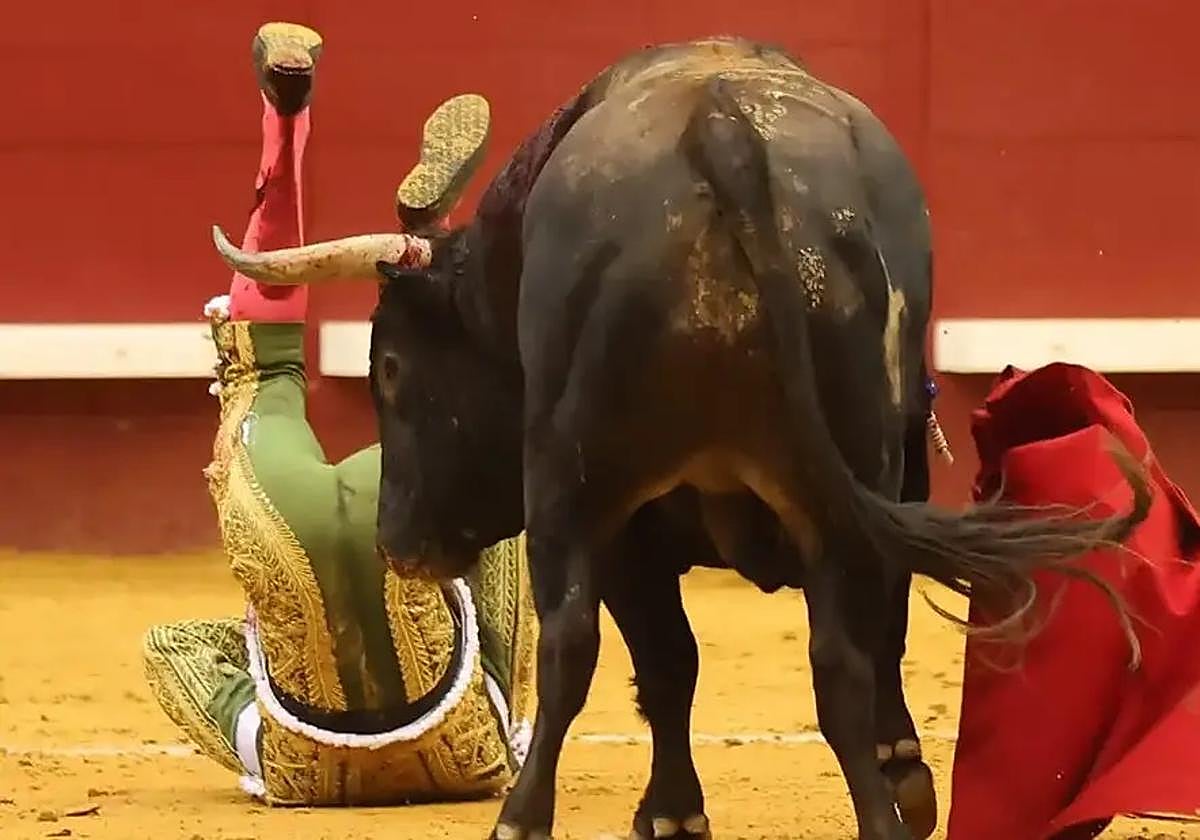 Ureña, en la cogida.