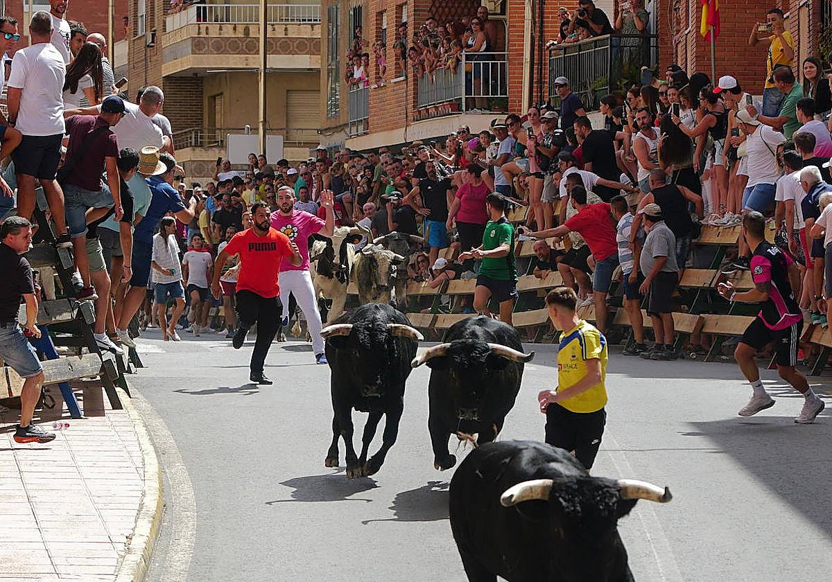 Celebración del cuarto encierro de Blanca, este martes.