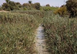 Los márgenes del río a su paso por Molins y La Campaneta.