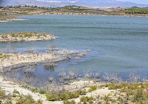 El embalse de Santomera el pasado diez de agosto.